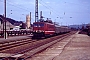 LEW 16726 - DR "250 135-1"
__.03.1991 - Neukieritzsch
Helmuth Cohrs