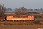 LEW 17903 - DB Schenker "155 244-7"
11.11.2011 - Anklam
Andreas Görs