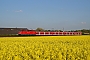 LEW 18253 - DB Regio "143 030-5"
04.05.2013 - Langenfeld (Rheinland)
Mirko Grund