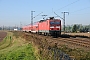 LEW 18429 - DB Regio "143 048-7"
20.10.2009 - Mockern
Torsten Barth