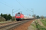 LEW 18484 - DB Regio "143 108-9"
04.04.2009 - Zeithain, Bogendreieck
Torsten Barth