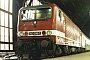 LEW 18955 - DR "143 206-1"
15.01.1992 - Dresden, Hauptbahnhof
Wolfram Wätzold