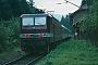 LEW 20366 - DB AG "143 916-5"
11.09.1996 - Höllsteig (Schwarzwald)
Ernst Lauer