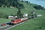 LEW 20372 - SOB "143 922-3"
06.10.1994 - Biberbrugg
Roland Korving