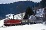 LEW 20375 - DB "143 925-6"
18.02.1991 - Triberg
Ingmar Weidig