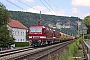 LEW 20381 - DeltaRail "243 931-3"
15.07.2018 - Stadt Wehlen
Tim Reichelt