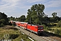 LEW 20463 - DB Regio "114 005"
08.09.2010 - Schönwalde
Andreas Görs