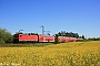 LEW 21321 - DB Regio "114 028"
03.06.2010 - Stralsund
Paul Tabbert